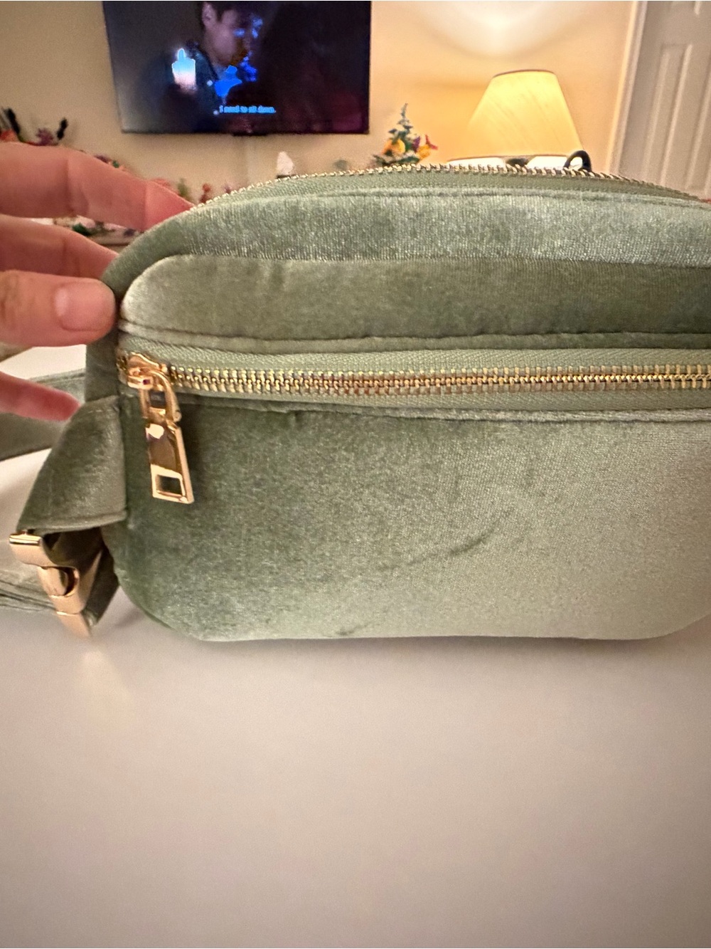 Anthropologie  Velvet Crossbody Belt Bag in Sage Green